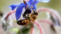 L'instant précieux